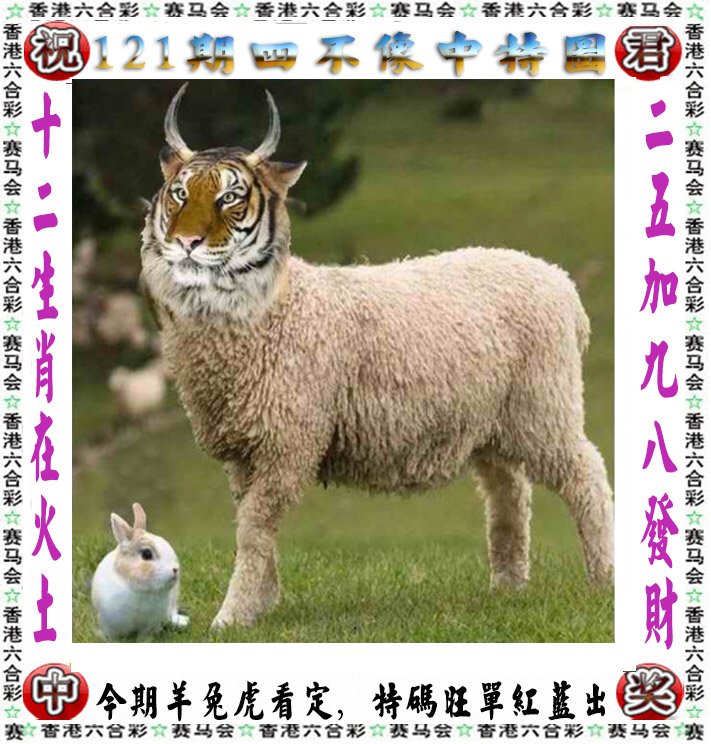 澳门彩库网下载安装（澳门彩库安卓app）