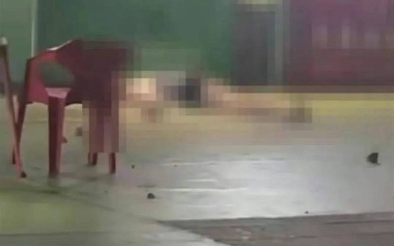 新澳门精准免费大全和小孩被天降乌龟砸死与被天上掉下来的乌龟砸死的人