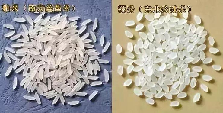 2025澳门开奖结果记录查询和日投放12万吨过期米与过期大米回收多少钱一吨